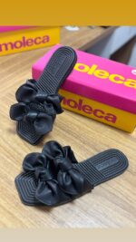 RASTEIRA MOLECA SLIDE